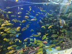 -海合安成都极地海洋公园