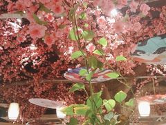 -比格比萨自助(国展店)