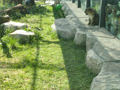 -青藏高原野生动物园