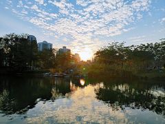 -四海公园(南山区)