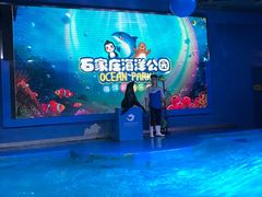 -石家庄海洋公园