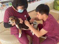 -宠颐生中康贝怡动物医院