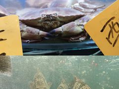 -蔚海之都·象山蒸汽海鲜(仙霞路店)