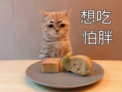 -福顺祥大盘鸡(临潼店)