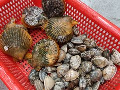 -范饭椰林川湘味海鲜·椰子鸡(三亚湾椰梦长廊店)