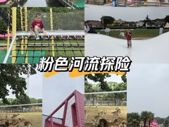 -苏州太湖西山岛开心农场