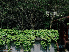 -龙坞茶村