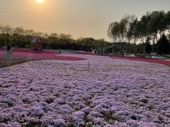 -石家庄市植物园