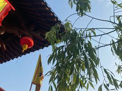 -杭州宋城