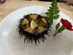 海胆-日月昇渔家菜·海肠捞饭·大连海鲜(星海公园店)