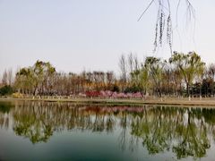 -大兴滨河森林公园