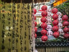 -泡桐树孙二娘私房菜