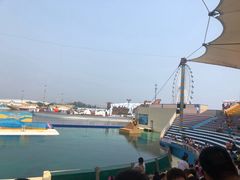 -秦皇岛乐岛海洋王国