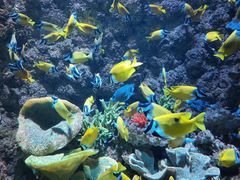 -海合安青岛极地海洋公园