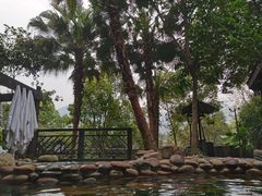 -融汇温泉