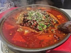 -眉州东坡(望京店)