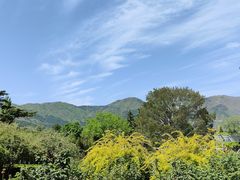 -国家植物园南园