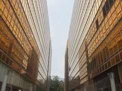 -香港皇家太平洋酒店