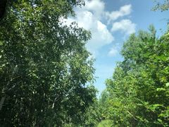 -塞罕坝国家级自然保护区