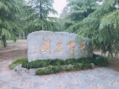 -水绘园