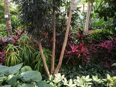 -北京植物园-展览温室