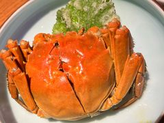 -鑫震源·苏式大虾生煎(山塘街店)