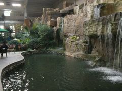 -世界地热博览园