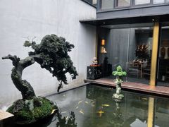 -觀芷隐轩