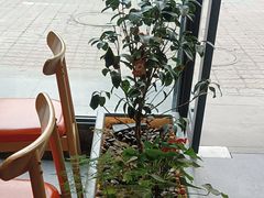 -老船舫·现做活鲜鱼馆(东郊记忆店)