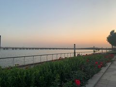 -天津金海湖