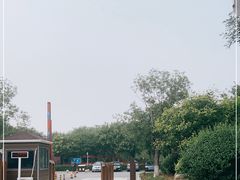 -西青郊野公园