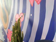 -Mesa Madre梅萨妈妈·Bintana(国贸店)