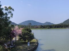 -风云岭森林公园