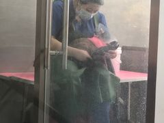 -宠福鑫康馨动物医院·骨科·眼科
