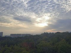 -飞凤山奥体公园