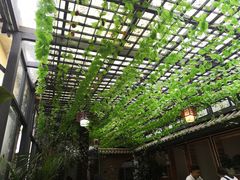 -阿鹏故事云南野生菌火锅(人民路店)
