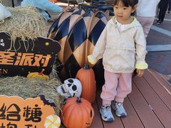 -瑞安威尼都