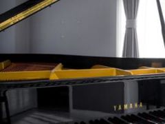 -Melody Mentor音乐私教馆(朝外·悠唐店)