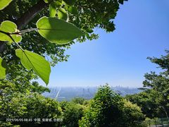 -大蜀山国家森林公园