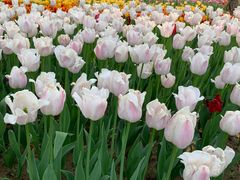 -廊坊文化艺术中心