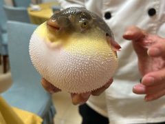 -长顺河豚馆(江洲东路)