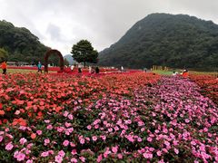 -广州市石门国家森林公园
