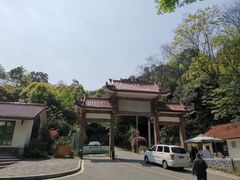 -缙云山景区