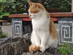 -云龙山