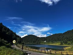 -武陵山森林公园