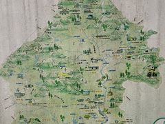 -广州白江湖森林公园