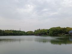 -新洲生态园