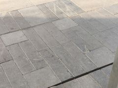 -东北风(江北万达店)