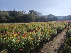-萨尔浒风景区