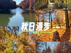 -上海海湾国家森林公园